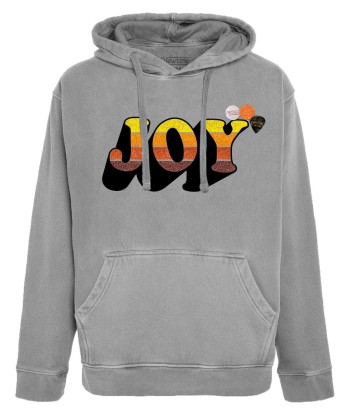 Hoodie jagger grey "JOY FW23" Véritable concentré