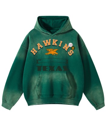 Hoodie skyler vintage forest "HAWKINS" destockage